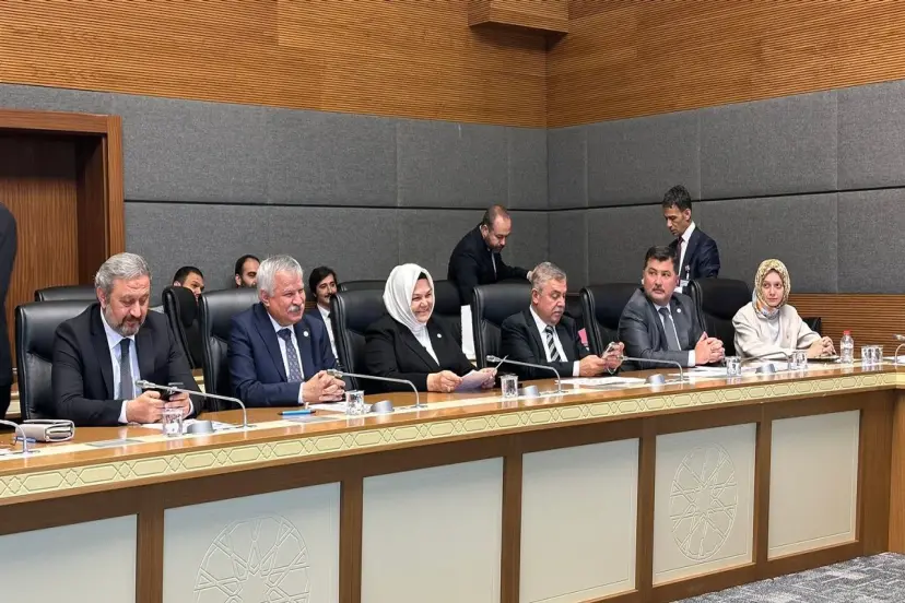 AK Parti’nin Parlayan Yıldızı Prof. Dr. Ayşen Gürcan Komisyon Başkanlığına Seçildi!