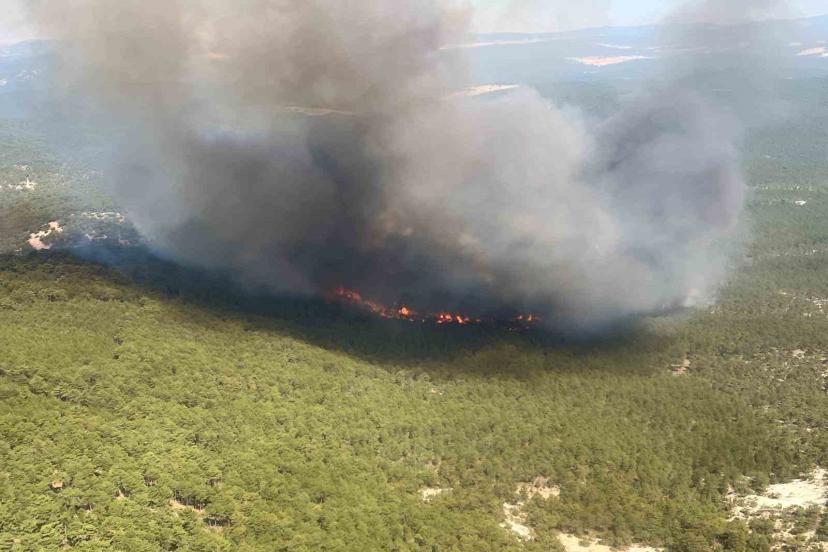Seyitgazi’de Orman Alarmı: Alevler Yayılıyor!