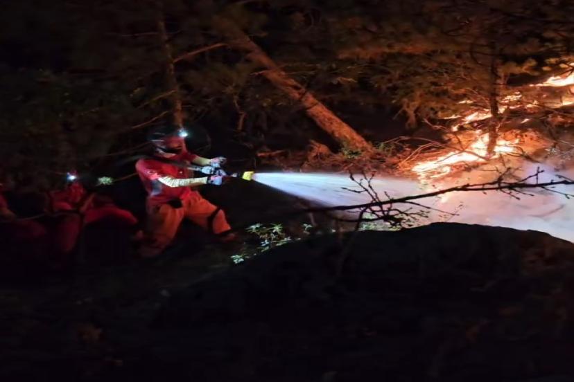 Geceyi Alevler Sardı: Seyitgazi’de Orman Yangını Felakete Gidiyor