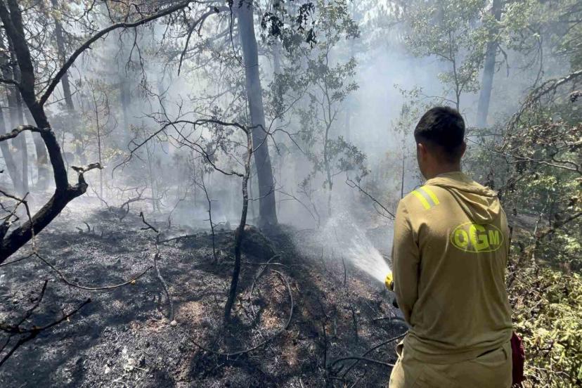 Yangında Kritik Noktalar: Müdahale Sürüyor, Bazı Bölgelerde Alevler Geri Döndü