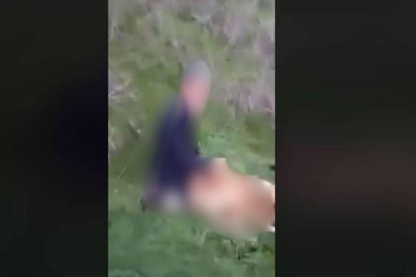 Aydın Arat Parkı’nda Vicdanları Sızlatan Olay: Hayvana Cinsel Saldırı!