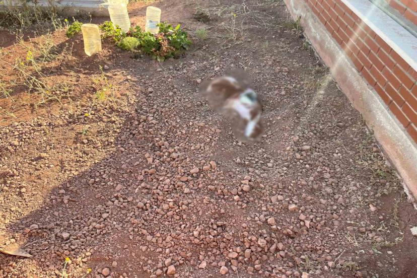 Eskişehir Mezarlığında Gizemli Gömü!