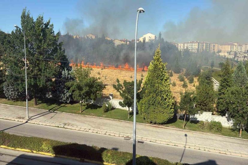 Eskişehir’de Ağaçlar Tutuştu, Mahalle Ayağa Kalktı!