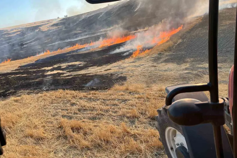 Tepebaşı’nda Yangın: 150 Dönümlük Alan Etkilendi!
