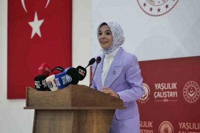 Türkiye’de yaşlı nüfus oranı yüzde 10,6 seviyesine ulaştı