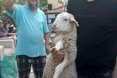 ESKİŞEHİR’DE KAYIP KUZUYU 2 GÜN EVİNDE MİSAFİR ETTİ!