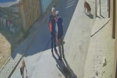"Köpeklerimi sen mi şikayet ettin" diyerek yaşlı adamı tekme tokat dövdü