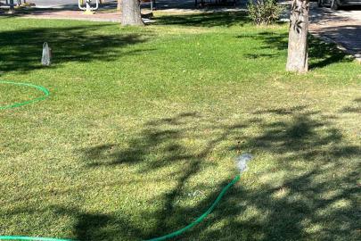 Park sulama hortumundan boşa akan su israfa yol açtı