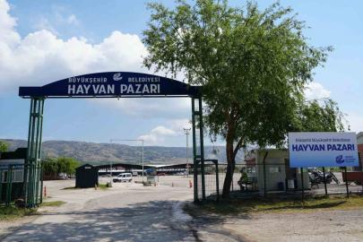 Şap hastalığı sebebiyle Büyükşehir Hayvan Pazarı kapatıldı