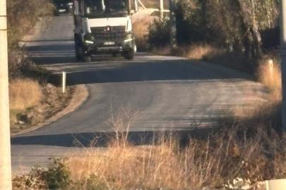 Tekören yolunda uzayan ağaç dalları sürücülere zorluk yaşatıyor