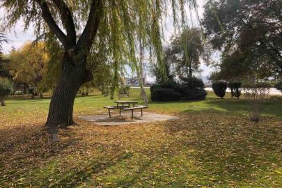 ESKİŞEHİR’DE SONBAHAR RENKLERİ SOKAKLARI KAPLADI!