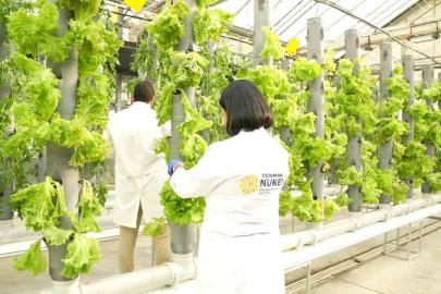 Gıda Güvenliğine ‘TENMAK’ dokunuşu
