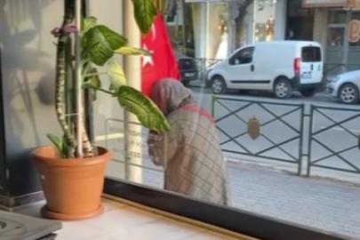Türk bayrağını öpen teyzenin görüntüsü yürekleri ısıttı