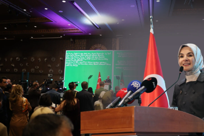 Türkiye-Cezayir Dostluğu 71. Yılda Yeniden Vurgulandı