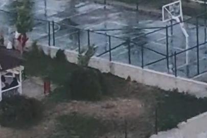 Ankara’da iki kardeşe saldıran pitbullun sahibinin, köpeğini tasmasız ve ağızlıksız gezdirdiği görüntüler ortaya çıktı