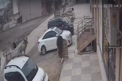 Bina önünden malzemeleri izinsiz alan şahıslar kameraya yakalandı