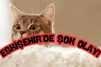 “Kedini Yedim” Sözü Gündem Oldu: Eskişehir’de Şoke Eden İddialar