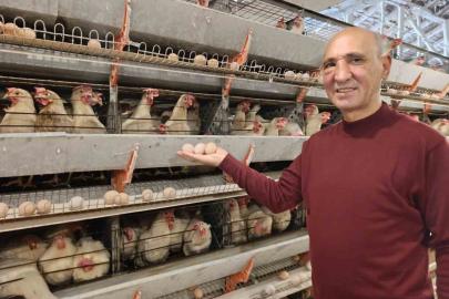 Simav’ın Kuşu beldesinde günlük 15 bin yumurta üretimi