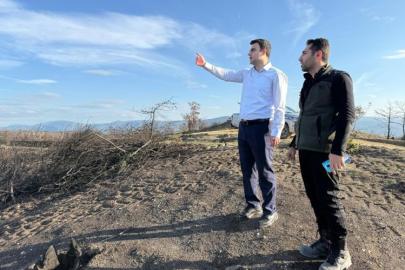 Yangın alanları yeşile bürünüyor