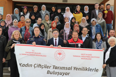Eskişehir’de 5 İlçeye 8 Bin 200 Fide: Bozkırlar Altın Otu İle Ölümsüzleşiyor
