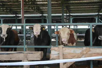 Eskişehir Büyükşehir Kurban Hisse Bedelini Açıkladı