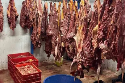 Bakanlık İfşa Etti: Köfte ve Lahmacunda Şok Eden İçerikler