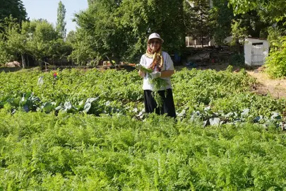 Kadın üreticilerin dalından koparılan emeği kazanca dönüşüyor